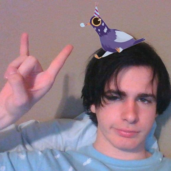 Meet your Posher, Noah - Picture 1 of 1